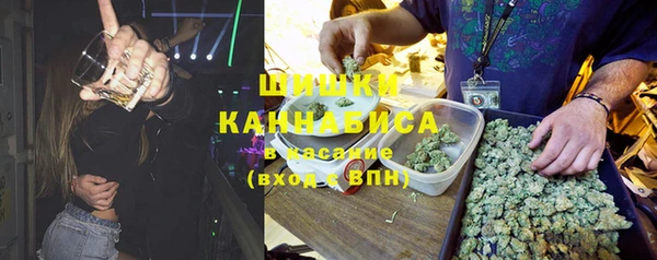 молекула духа Нязепетровск