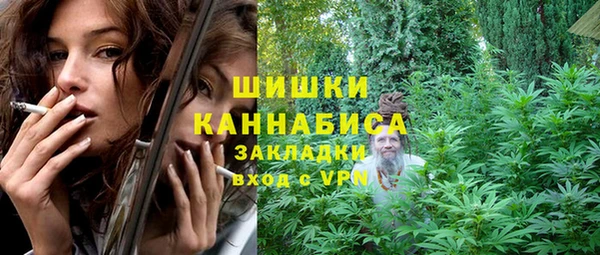 шишки Козловка