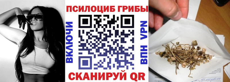 сколько стоит  Кумертау  Псилоцибиновые грибы Magic Shrooms 